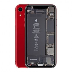 iPhone-XR-Red-cat